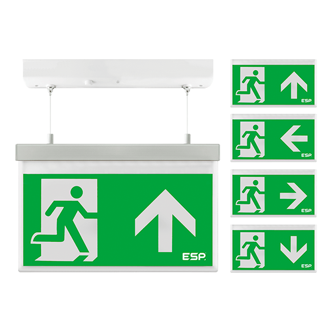 ESP Duceri Emergency Hanging Exit Sign 3W LED IP20 - All Legends (D330AWH)