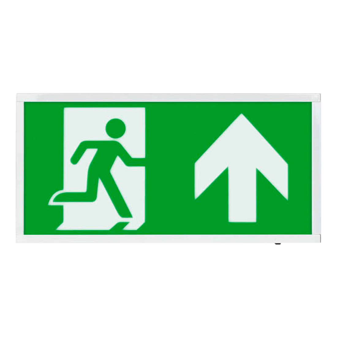 ESP Duceri Emergency Surface Exit Box 3W LED IP20 - Up (D120UWH)